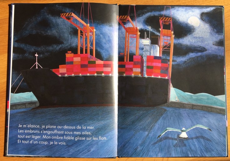 cargot_extrait 1.jpg