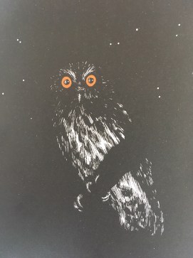 Loups du clair de lune_chouette.JPG