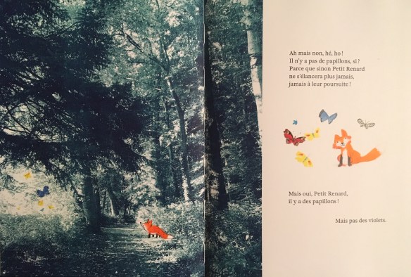 Petit renard_extrait 3.jpg