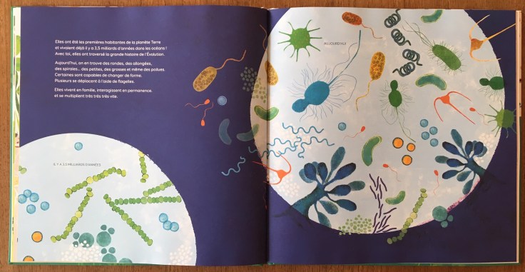 Mon petit monde_extrait 3.jpg