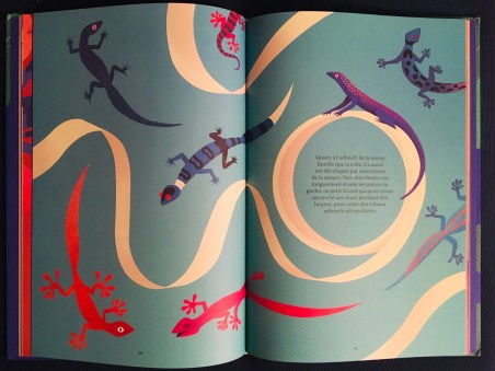 Biomimétisme_extrait 2