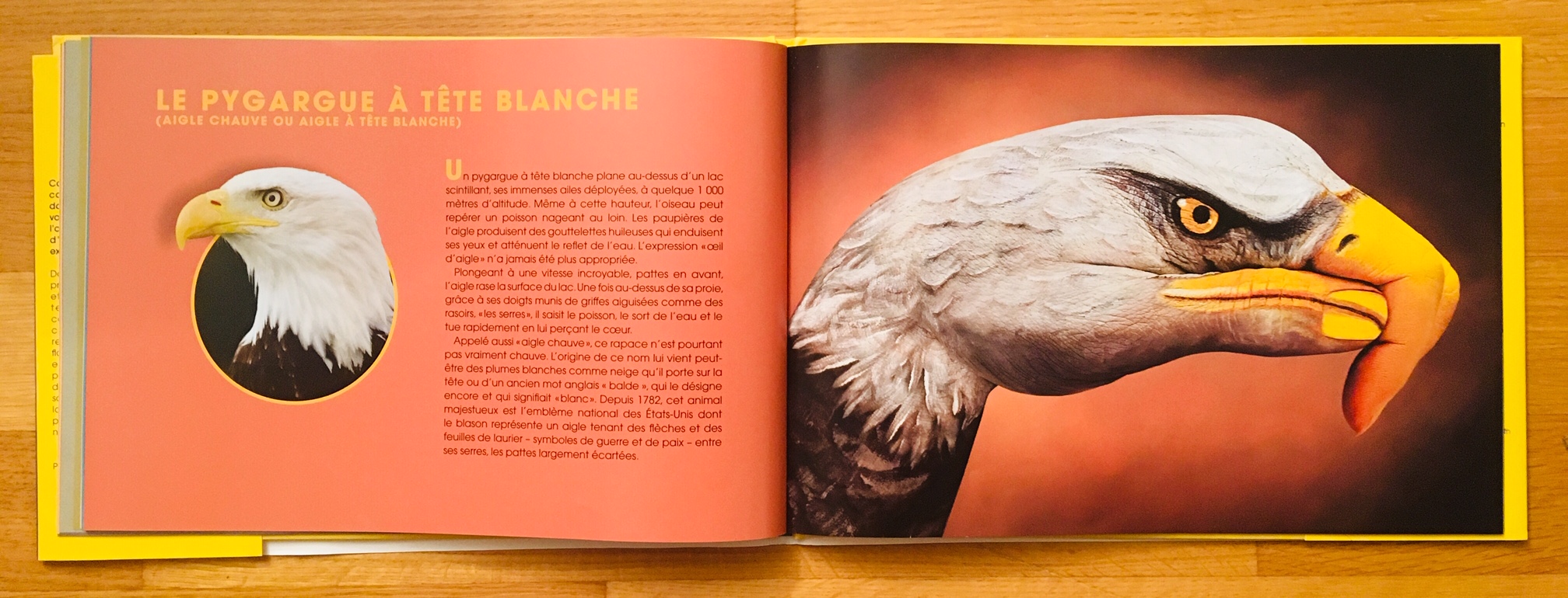 Animains, de Silvia Lopez et Guido Daniele (Éditions du Genévrier, 2019 ...
