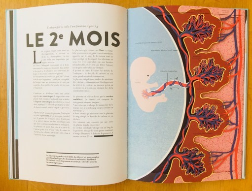 Naissance_2ème mois