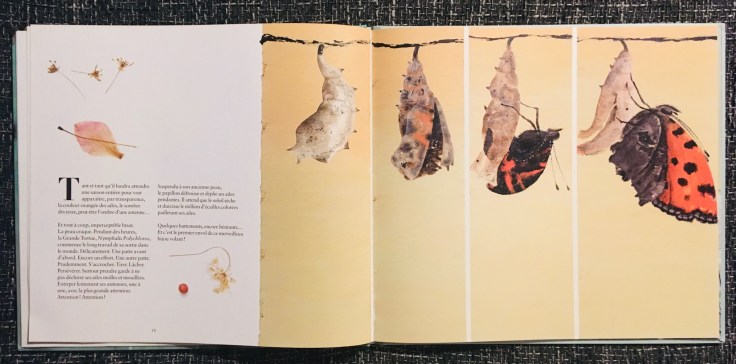 Métamorphoses_extrait 2