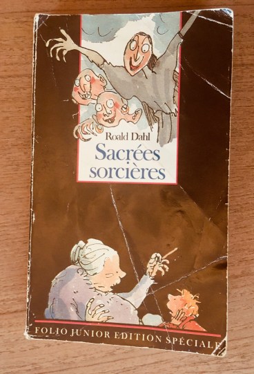 Sacrées sorcières_couv